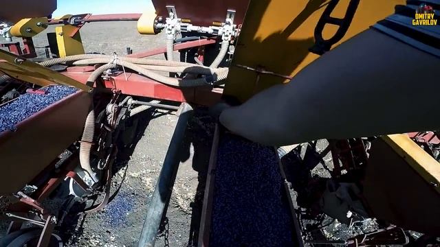 ВПЕРВЫЕ СЕЮ ПОДСОЛНЕЧНИК. Весь процесс сева на тракторе МТЗ 82.1 смотреть онлайн