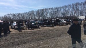 Выставка голубей и не только в Кемерово