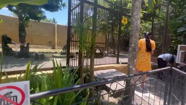 Bali Day 2 | Bali zoo - Ubud Palace - Saraswati Temple- Art market #tripwithbaby  #tripwithdebasmit
