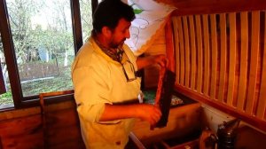 Расширение в Апидомике, одна семья трутовка.