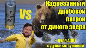 Надрезанный дробовой патрон или защита от дикого зверя. Стрельба пулей АЗОТ с дульных сужений ИЖ 27