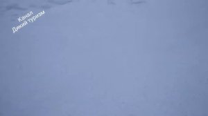 Трасса горизонт на ГТЦ Роза хутор