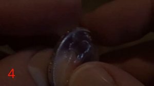 Полтинник 1925 чистка монет серебрянных серебро 50 копеек 1921 1922 1924 1926 1927 монеты ссср рубл