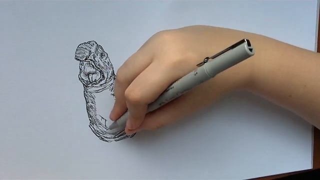 Dusan Krtolica 11 years - Crtanje Zivotinja Olovkom - Drawing Animals With Pen смотреть онлайн