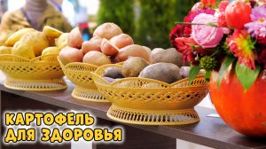 Самые полезные сорта картофеля