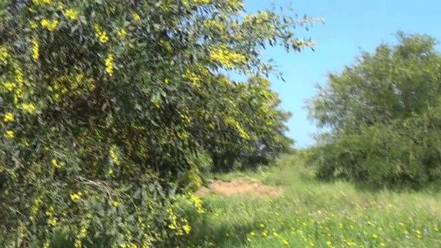 Пальмахим - удивительное место для отдыха и рыбалки в Израиле..