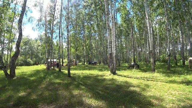 220.Как себя вести на озере Шайтан. Деревня Окунево - место силы. Окунево - аномальная зона. смотреть онлайн