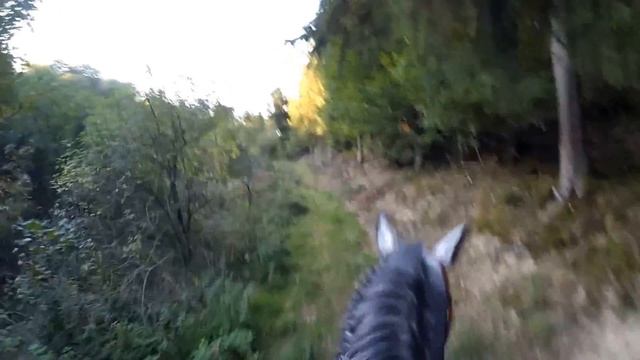 Верхом по Германии смотреть онлайн