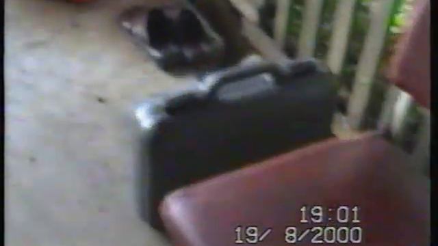 Чапаева 2Б смотреть онлайн