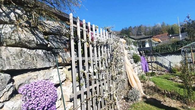 Пасха в Швейцарии | Семья | Традиции | Розовый сад смотреть онлайн