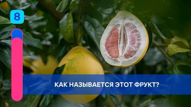 VK Квиз: общая тема. Ведущий Дмитрий Хрусталёв. 31.12.22.