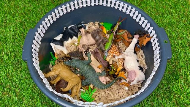 Учим Животных на английском Крокодил Носорог Буйвол Стрекоза Мультики для Детей Английский для Дете смотреть онлайн