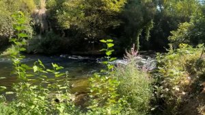 DADAXON XASANOV  Tishlaring inju