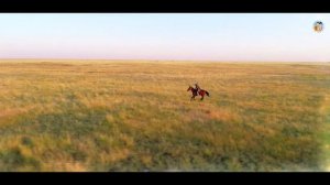 Кетченеры. "Ойратка"-версия 2019