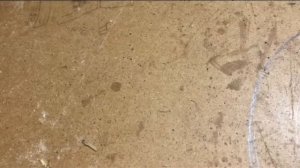 Хитрости и Советы мастеров по дому. #diy #самоделки #столярка #craft #лайфхаки #woodworking #дача