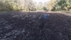 Подготовка и посев зелени под зиму