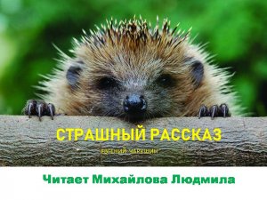 ЕВГЕНИЙ ЧАРУШИН  "СТРАШНЫЙ РАССКАЗ". ЛИТЕРАТУРНОЕ ЧТЕНИЕ 1-4 КЛАСС. ЧИТАЕТ МИХАЙЛОВА ЛЮДМИЛА.