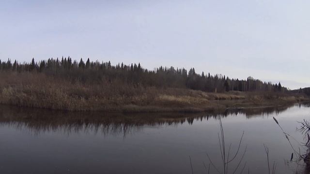 Добрались до избы/наткнулись на медвежью тропу/охота в тайге Республики Коми. смотреть онлайн