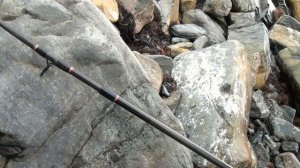 Большой Утриш Рыбалка на саргана