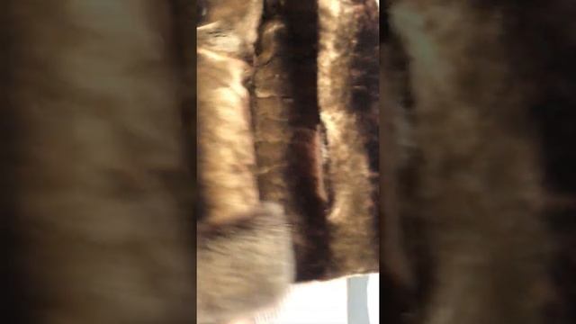 Шуба мутон короткая 5500 ₽ в очень хорошем состоянии р.46 /11139/ смотреть онлайн