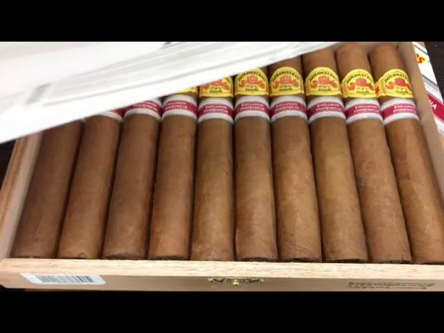 Diplomaticos Ammunition Edición Regional Phoenicia смотреть онлайн