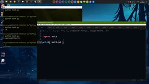 Выучить язык  Phyton. Учим Python за 1 час