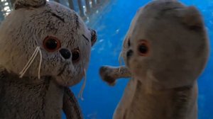 Поездка за город. Что делают Басики в лесу?