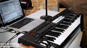 MIDI клавиатура NOVATION LAUNCHKEY 61