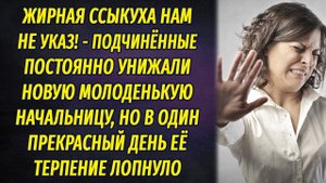 Сотрудники постоянно унижали новую молодую начальницу, но однажды её терпение лопнуло