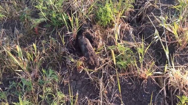 Прокол под дорогой. Выход бура смотреть онлайн