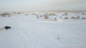 Движение по снегу - лоси и внедорожники