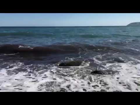 Море в Артеке