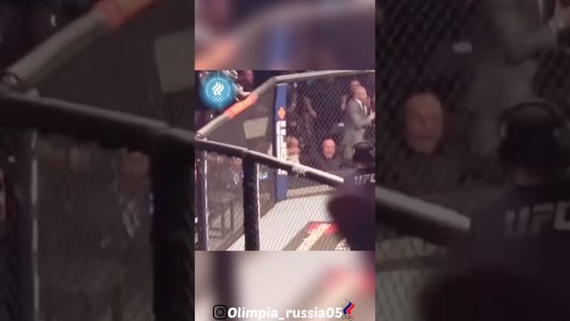 Вид с Трибун UFC?️. ?Kamaru Usman жеско вырубил ?Мосвидалья.