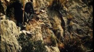 О борьбе со страстями