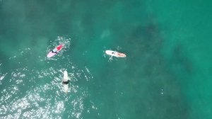 БОЛЬШОЙ ВЫПУСК ПРО СЕРФИНГ / ШРИ ЛАНКА 2023 ??