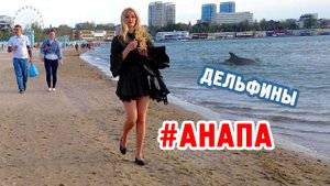 Море и дельфины на закате в Анапе