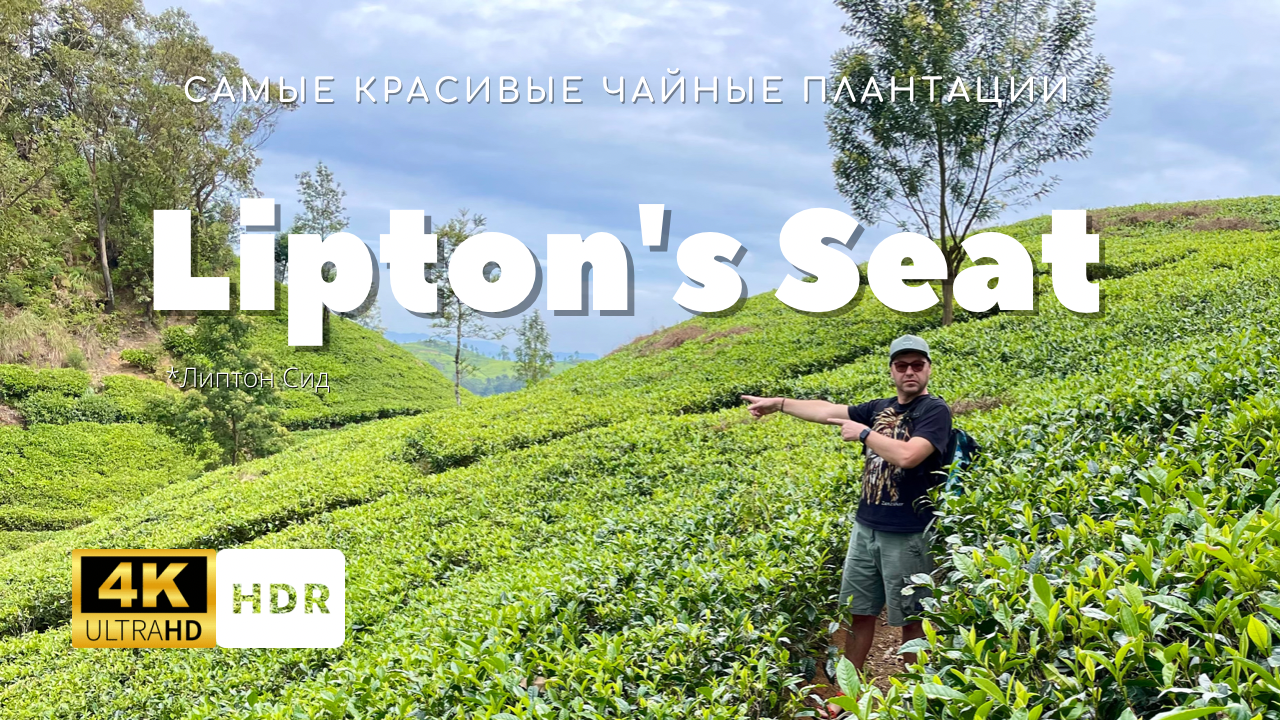 Lipton's Seat (Липтон Сид) Самые красивые чайные плантации. Шри-Ланка ?? (Sri Lanka, ශ්රී ලංකා)