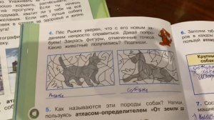 Окружающий мир/2 класс/Плешаков/Рабочая тетрадь/часть 1/ Про кошек и собак/с.56/26.11.20