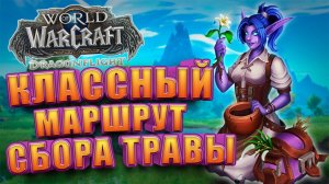 Маршрут сбора травы WoW Dragonflight | Голдфарм