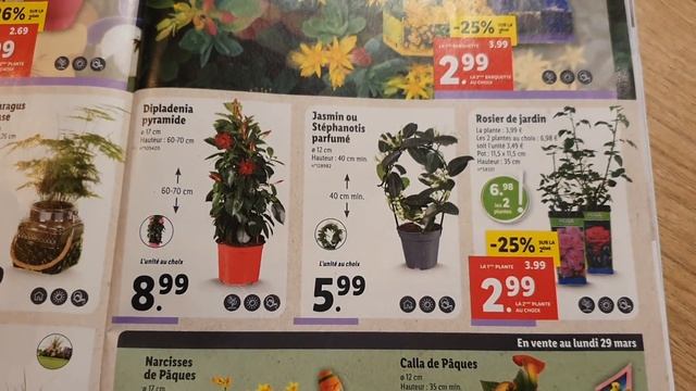 ARRIVAGE LIDL - 24 AU 30 MARS 2021 - CATALOGUES ET PROMOTIONS смотреть онлайн