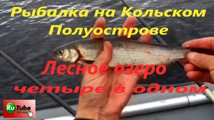 Рыбалка на Кольском Полуострове.  Лесное озеро.