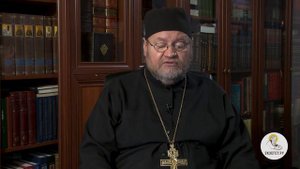 Почему сказано не прелюбодействуй, вместо не блуди? БИБЛИЯ ОТВЕЧАЕТ. Протоиерей Олег Стеняев.