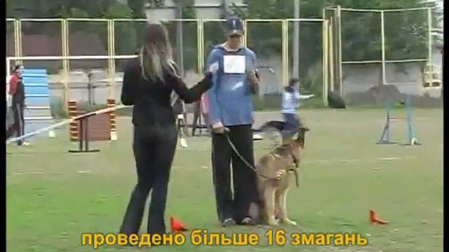 Дресирування собак ЧЕРКАСИ №01 (Ukrainian / UA) смотреть онлайн