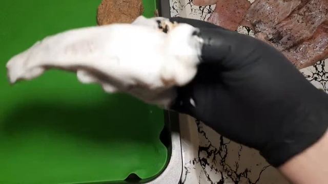 Товстолоб запечений у духовці ? Найсмачніший рецепт запеченої риби ? Товстолоб запечений в білках?