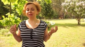 Отзыв о санатории Ислочь, Беларусь #1