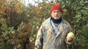 Хакасский синап