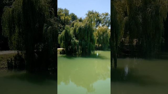 Замок Шато Эркен, КБР