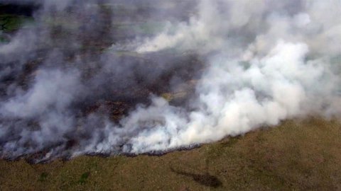 Сразу несколько регионов Сибири и Дальнего Востока страдают от смога, вызванного природными пожарами