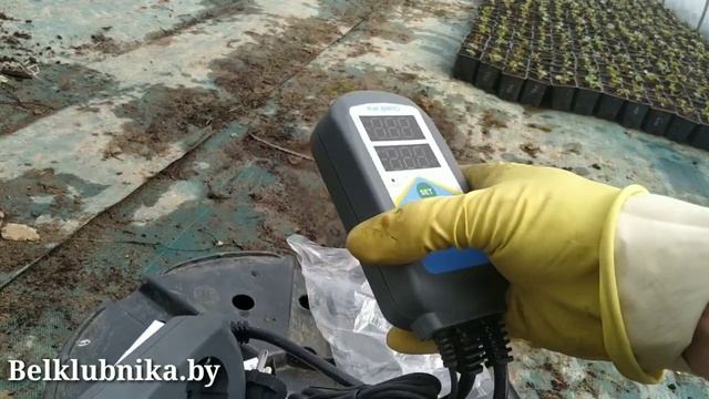 Inkbird. Удаленное управление и контроль температуры. Belklubnika.by.mp4 смотреть онлайн