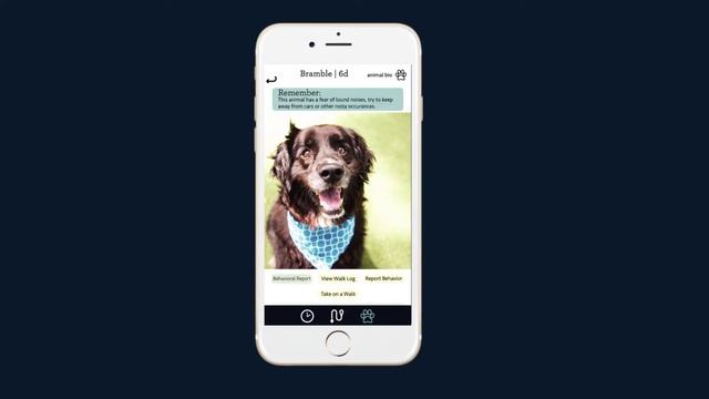 The Pet Project (App Preview Test) смотреть онлайн